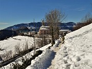 Sulle nevi del Monte Zucco (1232 m ) da S. Antonio Abbandonato (987 m) sui sent. 505-506 il 14 gennaio 2021 - FOTOGALLERY